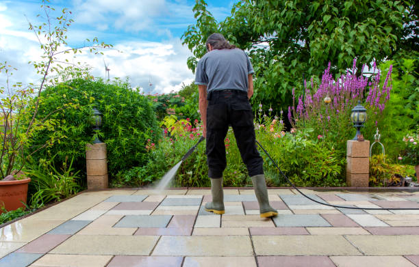 Best Roof Cleaning and Mildew Removal in Dyersville, IA