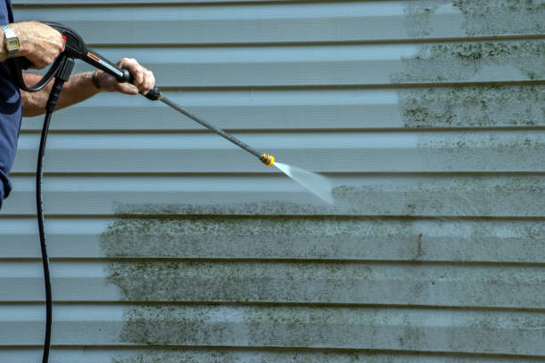 Best Window and Screen Pressure Cleaning in Dyersville, IA